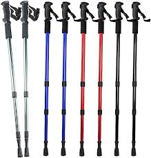 nordic walking bâtons