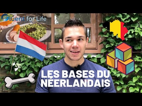 apprendre néerlandais gratuit